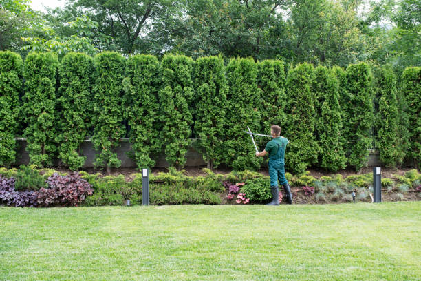 Lawn Pest Prevention in Powell, OH